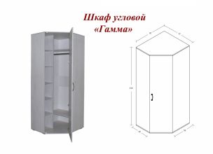 Прихожая Гамма (шкаф угловой)